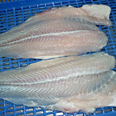 Panga Fillet Semitrimmed